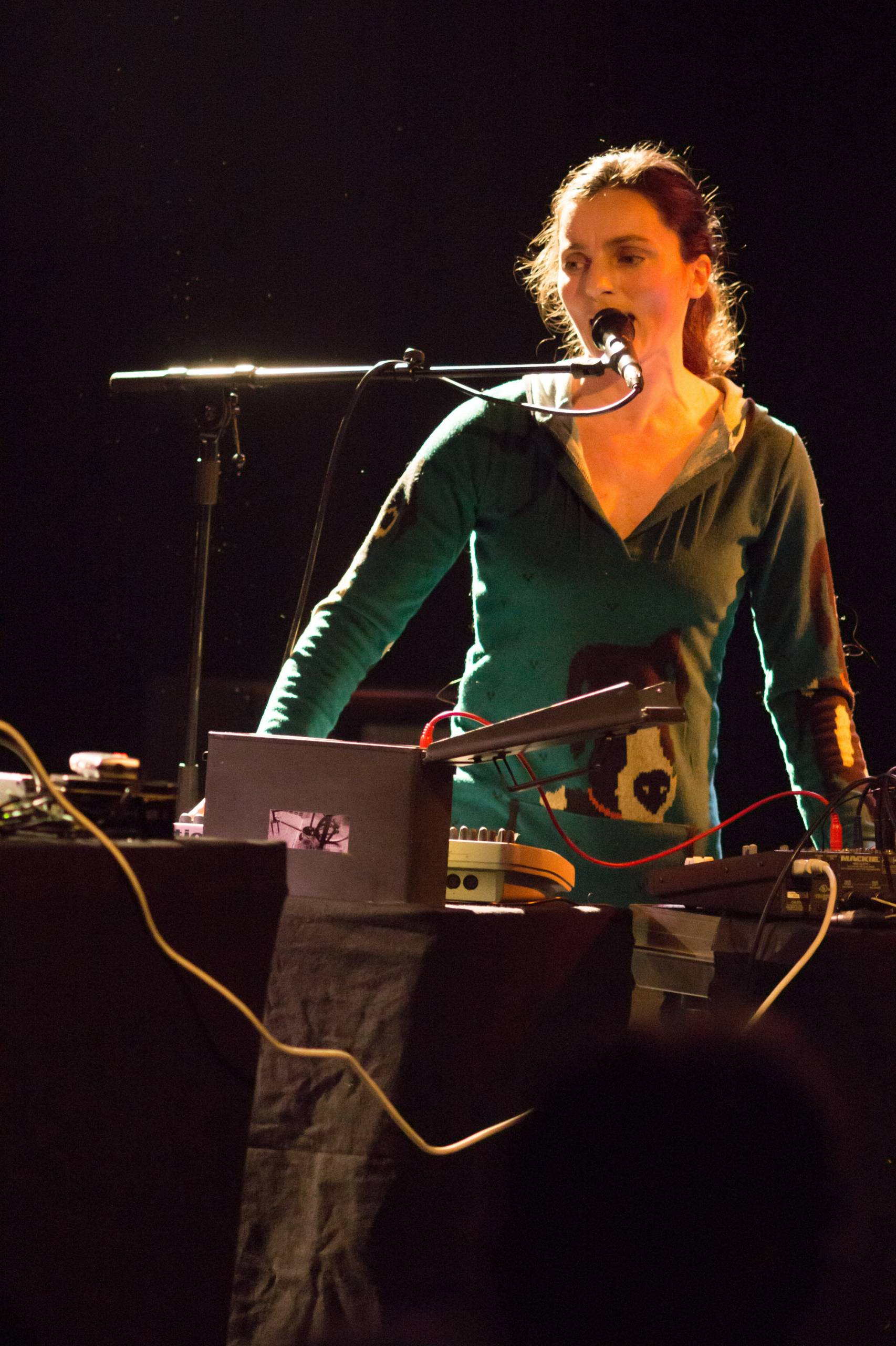 DSC04313